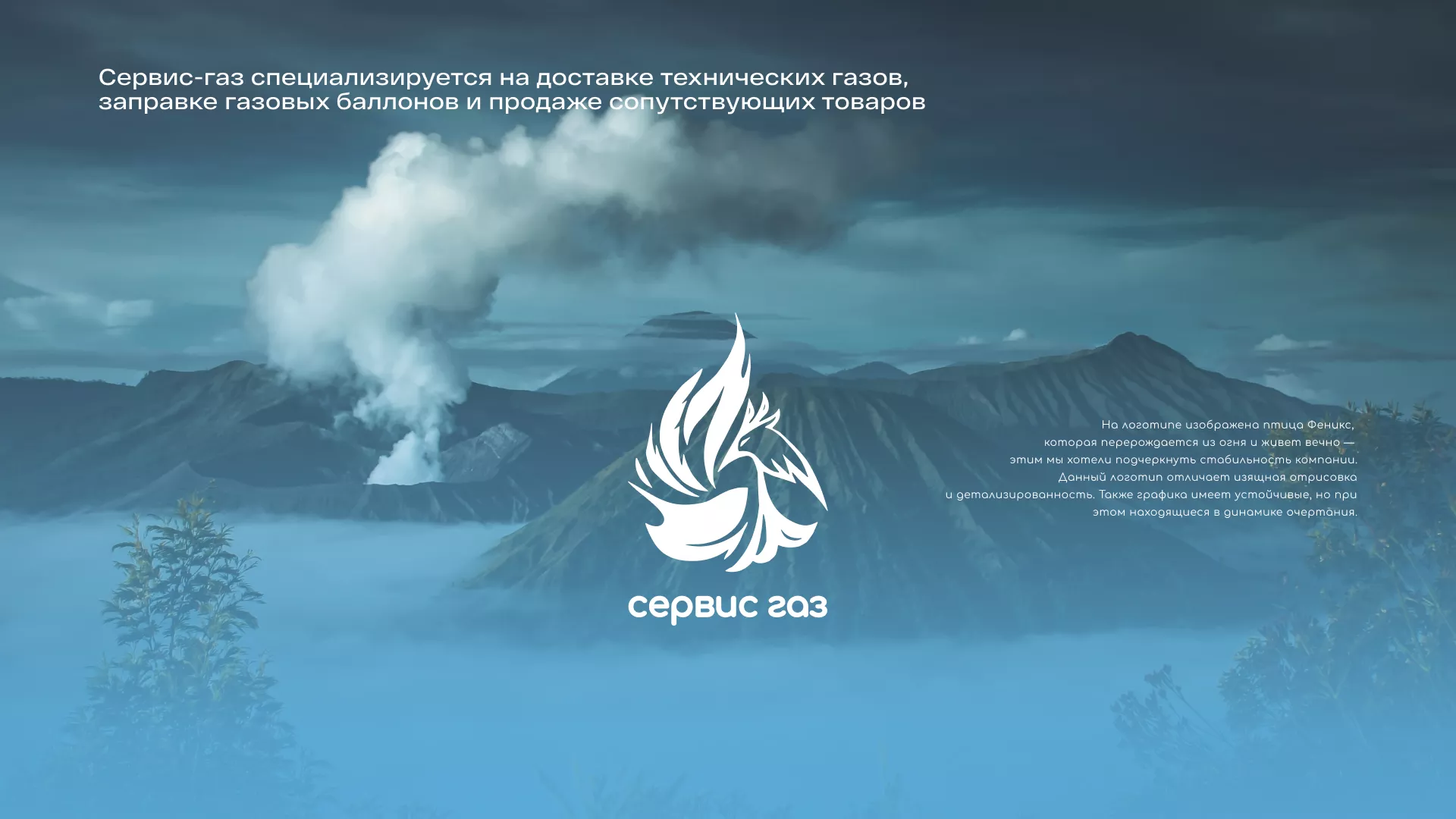 Создание сайта компании «Сервис газ» в Егорьевске