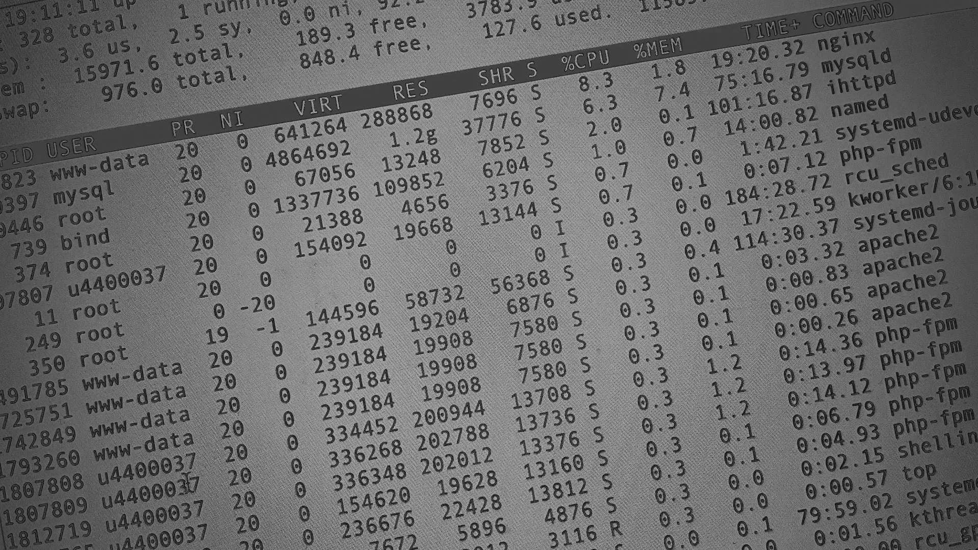 Настройка сервера в Егорьевске