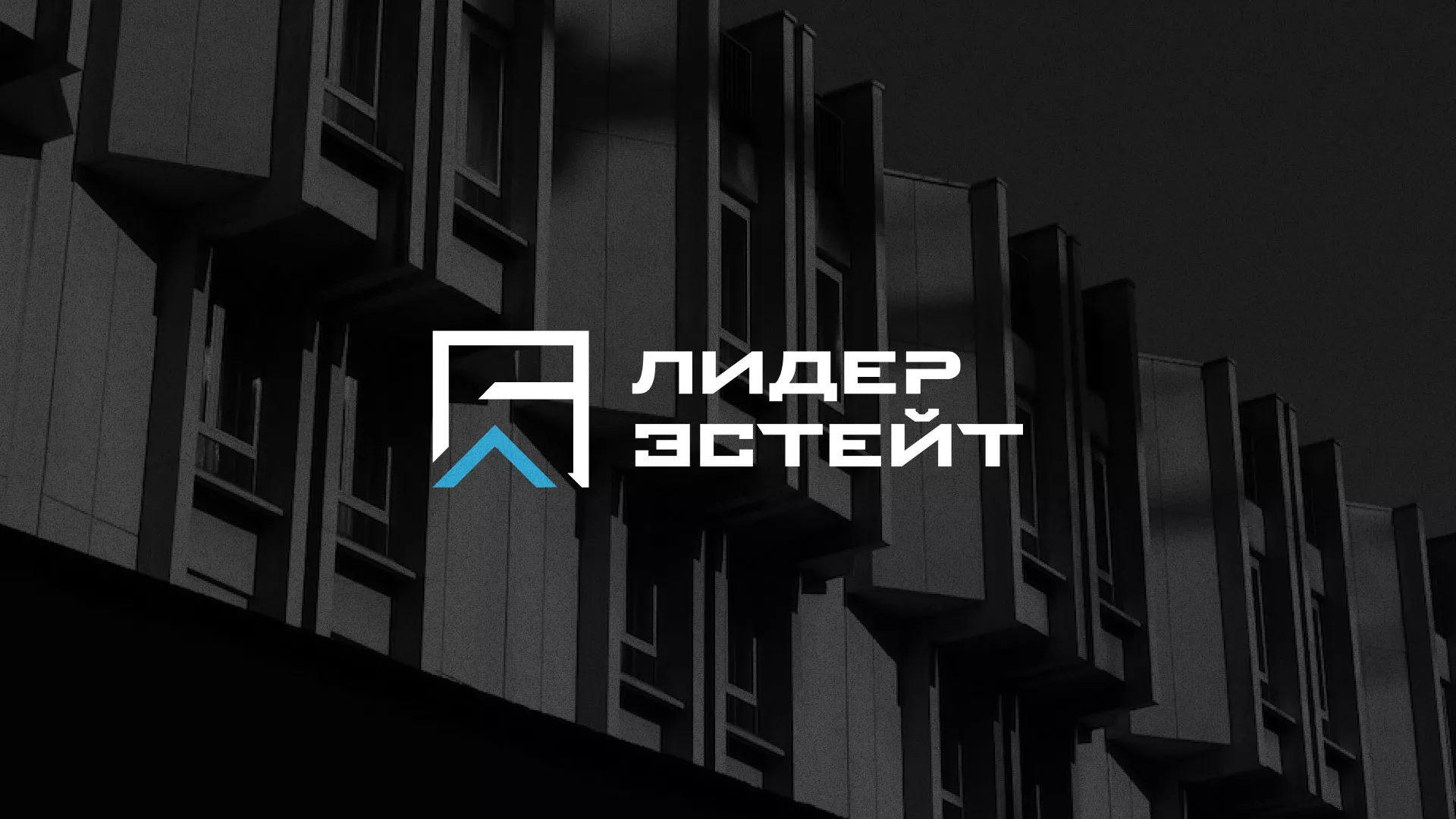 Разработка логотипа агентства недвижимости «Лидер Эстейт» в Егорьевске