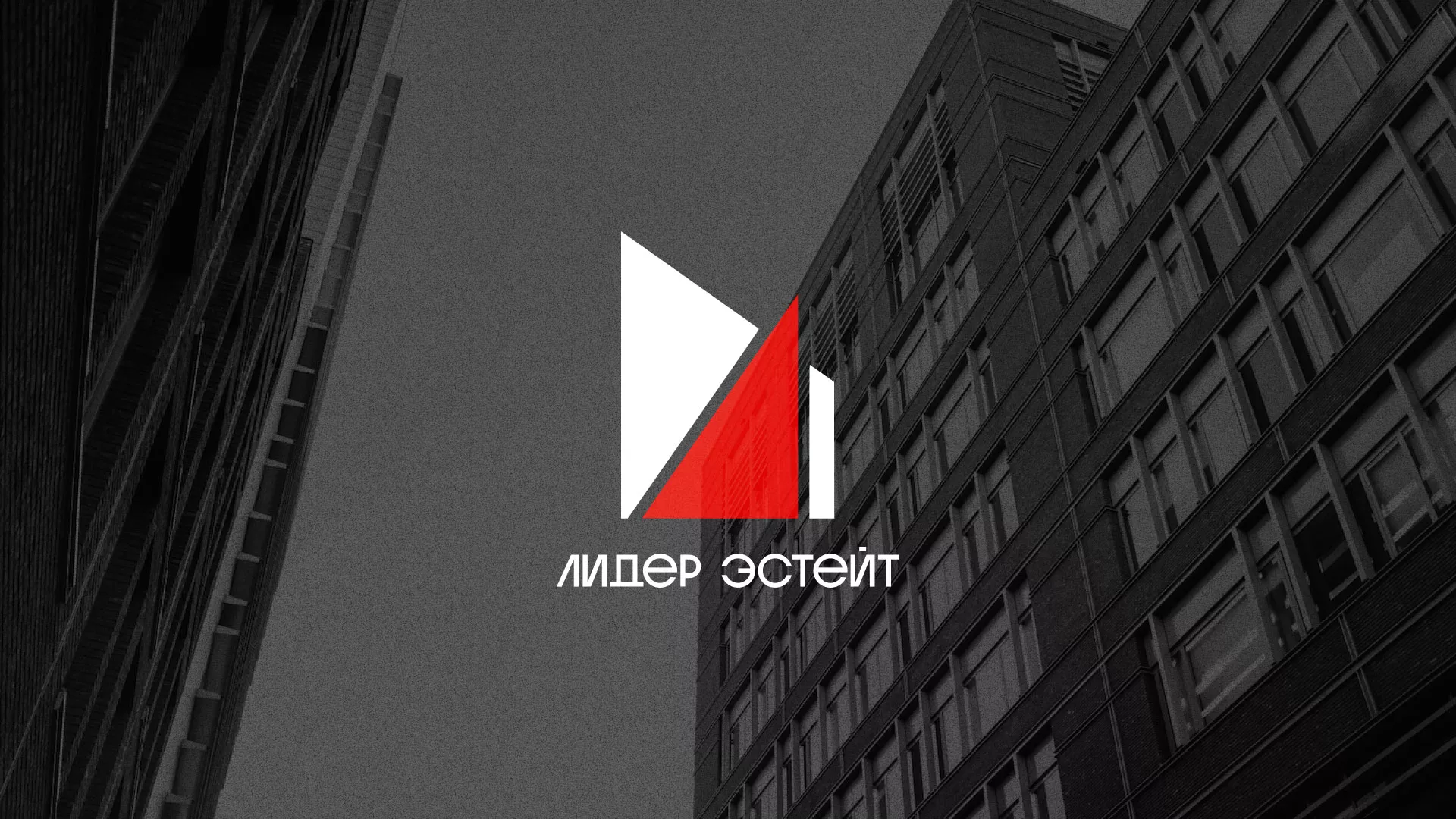 Сделали логотип для агентства недвижимости «Лидер Эстейт» в Егорьевске