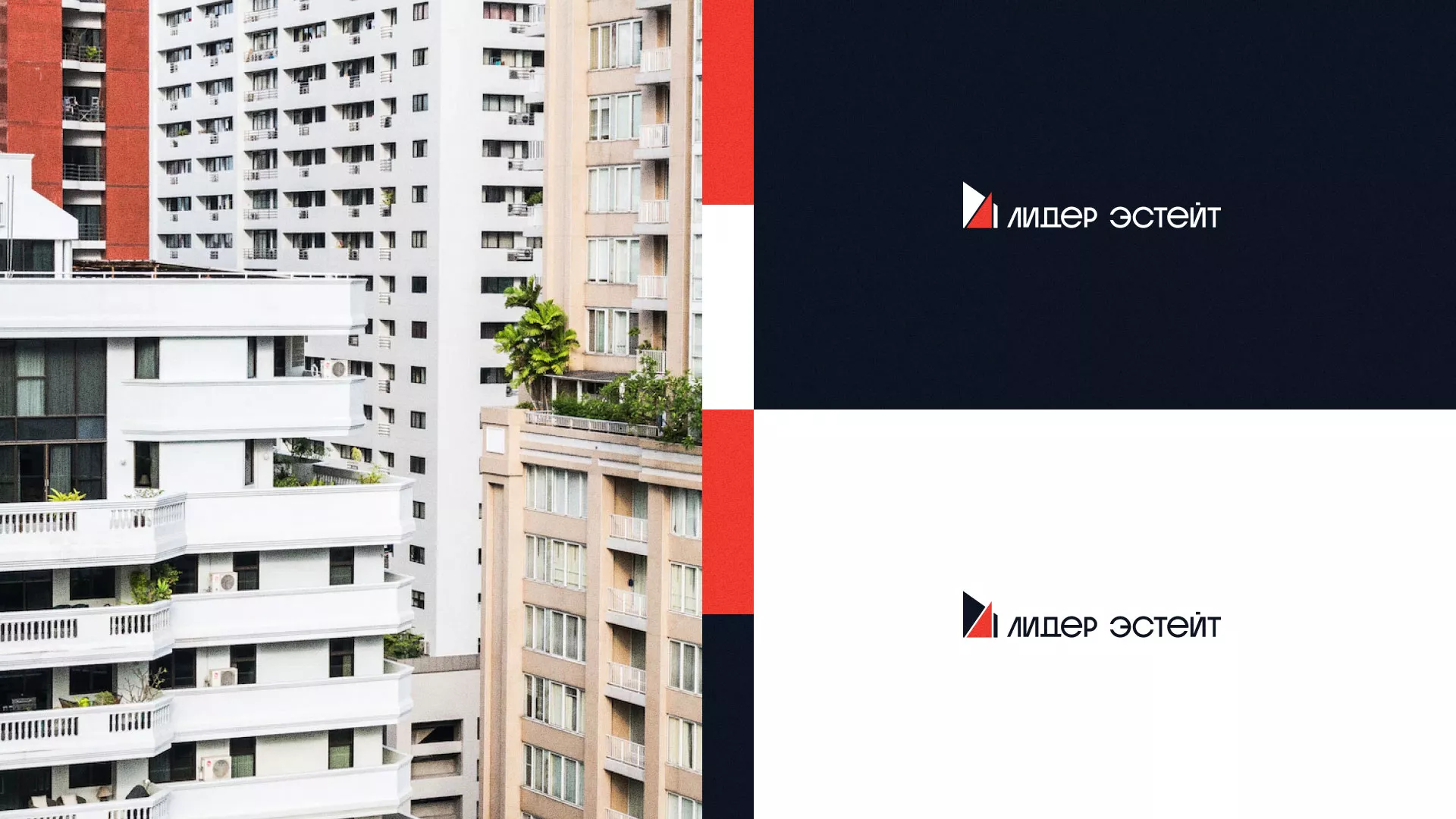 Сделали логотип для агентства недвижимости «Лидер Эстейт» в Егорьевске